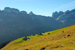 DSC_0463.jpg